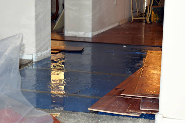 Professional Sewage Cleanup technician working in Princeton, ME
